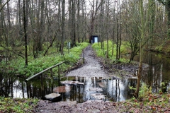 Trittsteine an der Molzmühle