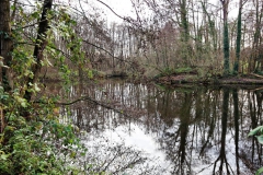 Molzmühlenweiher
