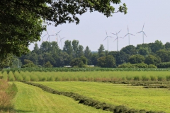 Blick auf Windräder bei Haaren
