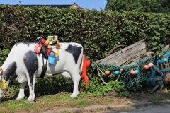 Kuh am Gasthof Berghoes