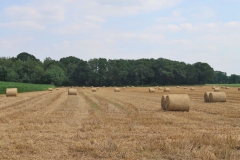 Felder an der Holtmühle