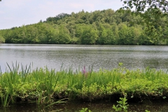 Holtmühlenweiher