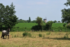 Blick zur Schriefersmühle
