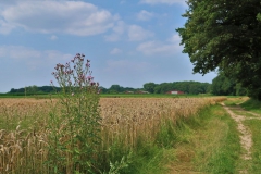 Blick auf Gripekoven