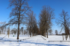 Allee alter Eingangsbereich