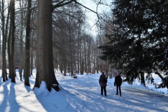 Englischer Landschaftsgarten