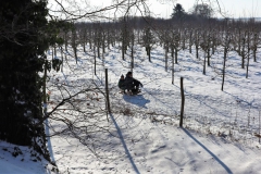 Obstplantage am Schloss Dyck