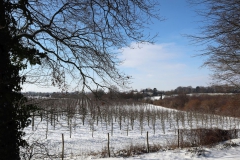 Obstplantage am Schloss Dyck