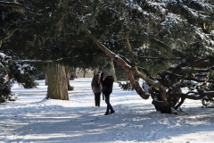 Englischer Landschaftsgarten