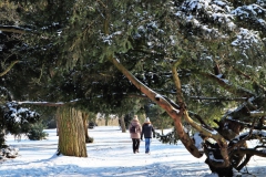 Englischer Landschaftsgarten