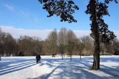 Englischer Landschaftsgarten