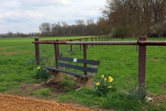 Am Waldrand bei Mühlrath