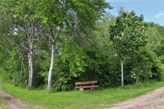 Ruhebank am Halfesweg