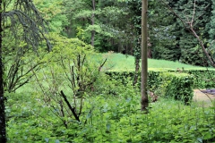 Wassergarten Sequoiafarm