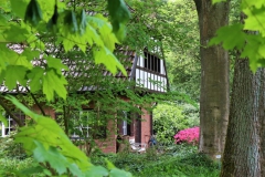 Haus im Sequoiapark