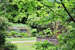Gewächshaus und Hochbeet im Sequoiapark