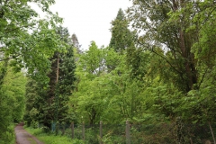 Entlang der Sequoiafarm