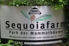 Sequoiafarm - Park der Mammutbäume