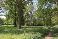 Am Rodebach