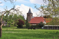 Pfarrkirche St. Nikolaus in Millen