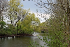 Rurbrücke