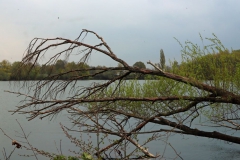 Blick auf den Adolfosee