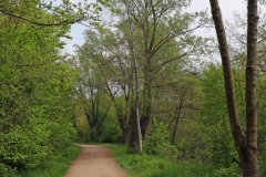 Weg entlang der Rur
