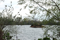 Insel im Adolfosee