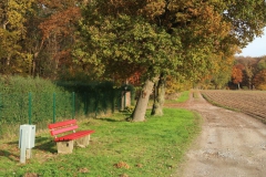 Bank bei Lousberg