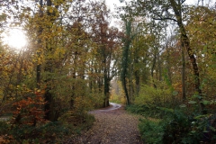 Straße zwischen Lousberg und Pannenmühle
