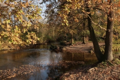 Mündung Liplaken-Graben in die Schwalm