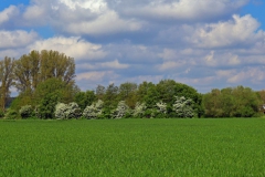Blick zum Waldfeuchterbach