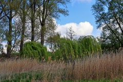 Biotop am Waldfeuchterbach