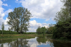 Kahnweiher Bolleberg