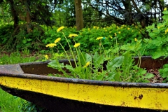 Am Kahnweiher Bolleberg