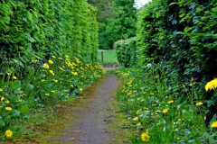 Weg in den Wallanlagen Waldfeucht