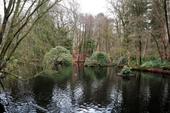 Teich im Judenbruch