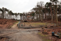 Wildfreigehege Wassenberg