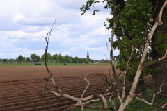 Blick auf den Merbecker Kirchturm