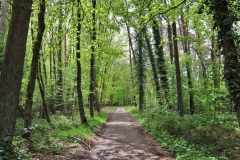 In der Nähe des Rebhuhnweges vor der Bahnlinie