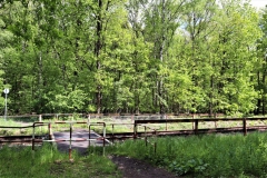 Bahnübergang im Klinkumerwald