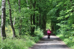 Im Klinkumerwald