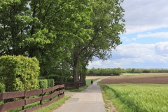 Vom Klinkumerwald in Richtung Wegberg