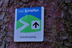 Eifel Schleife Wildenburgsteig