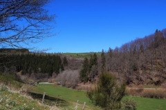 Blick in Richtung Reifferscheid