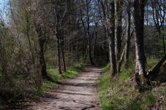 Hohlweg Geißgasse