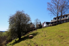 Auf dem Wildenburgsteig