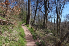 Auf dem Wildenburgsteig