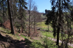 Wildenburgsteig und Manscheiderbach