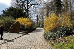 Eingang Willy Dohmen Park